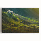 Black and white stretched canvas of Prague skyline, ideal for kitchen wall art or bedroom.