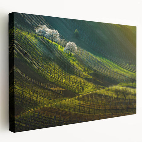 Prague cityscape on a large stretched canvas with muted earth tones, ideal for kitchen wall art.
