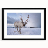 Extra large abstract art print of a colorful, textured Finnish landscape on a black framed canvas.