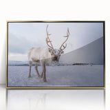 Art deco poster depicting a serene Finnish landscape in muted gold and blue tones, acrylic framed print.