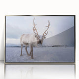 Large art print of a serene Finnish landscape in muted greens and blues on a framed acrylic, suited for modern nursery decor.