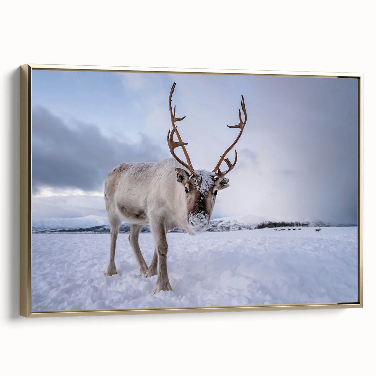 Framed canvas depicting a vintage-style Finnish landscape in muted gold and black tones, ideal for bedroom decor.