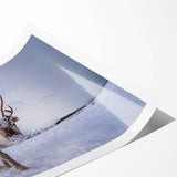 Extra large wall art featuring line art flowers in black and white, printed on rolled canvas.