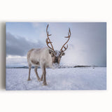 Black and white stretched canvas featuring a serene Finnish landscape, ideal for kitchen wall art or bedroom ambiance.