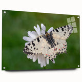 Acrylic print of a European Greek landscape in soft blue and white tones, suitable for dining room decor.