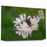 Acrylic print of a large abstract depiction of a European landscape in muted earth tones.