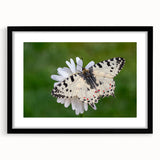 Extra large framed abstract art print depicting a colorful, textured scenery of Greece, ideal for living room decor.