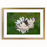 Abstract art print of a European coastal scene in soft pastel shades, framed in gold, suitable for dining room decor.