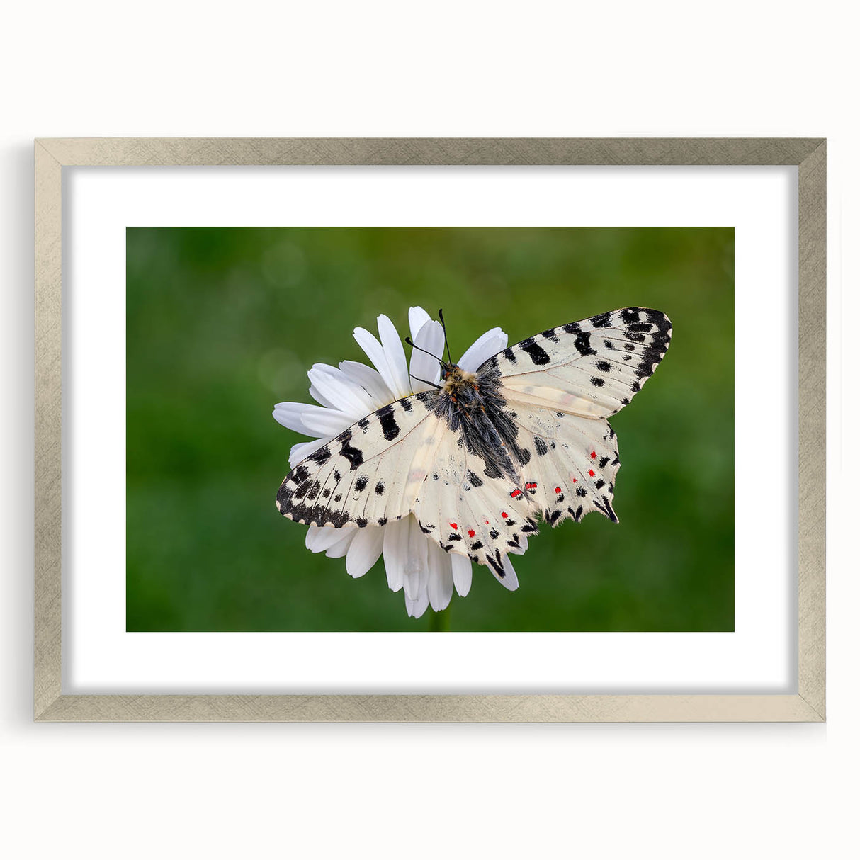 Extra large abstract art print of a European scenery in Greece, featuring textured brushstrokes in earthy tones.
