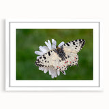 Textured art print featuring an abstract depiction of a European landscape in muted earth tones, framed in white.