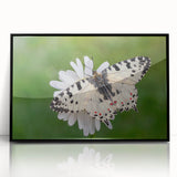 Large abstract wall art depicting a European Greek scenery in muted earth tones on a framed acrylic.