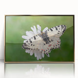 Acrylic print of a European Greek scenery in gold frame, ideal for modern art wall decor.