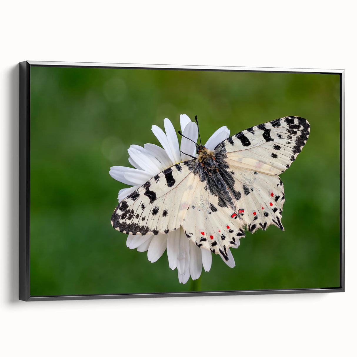 Black and white framed canvas of a vintage European landscape, ideal for bedroom decor.
