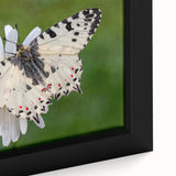 Close-up of a black wall art depicting a textured European scenery in vibrant colors, framed canvas.