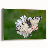 Framed canvas depicting a vintage-style Greek landscape in muted gold and black tones, suitable for bedroom wall art.