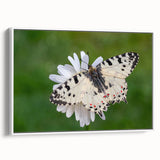 Vintage poster art of a European Greek scenery on framed canvas, featuring colorful art in extra large size.