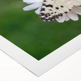 Art deco poster of a scenic European village in Greece, depicted in bright blue and white tones on rolled canvas.