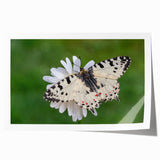 Extra large rolled print of a Greek landscape with vibrant blues and whites, ideal for dining room wall art.