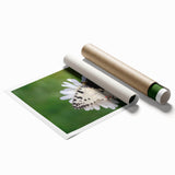 Extra large rolled print of a European Greek scenery with vibrant floral accents.
