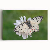 Black and white stretched canvas of a scenic Greek landscape, ideal for kitchen wall art or bedroom ambiance.