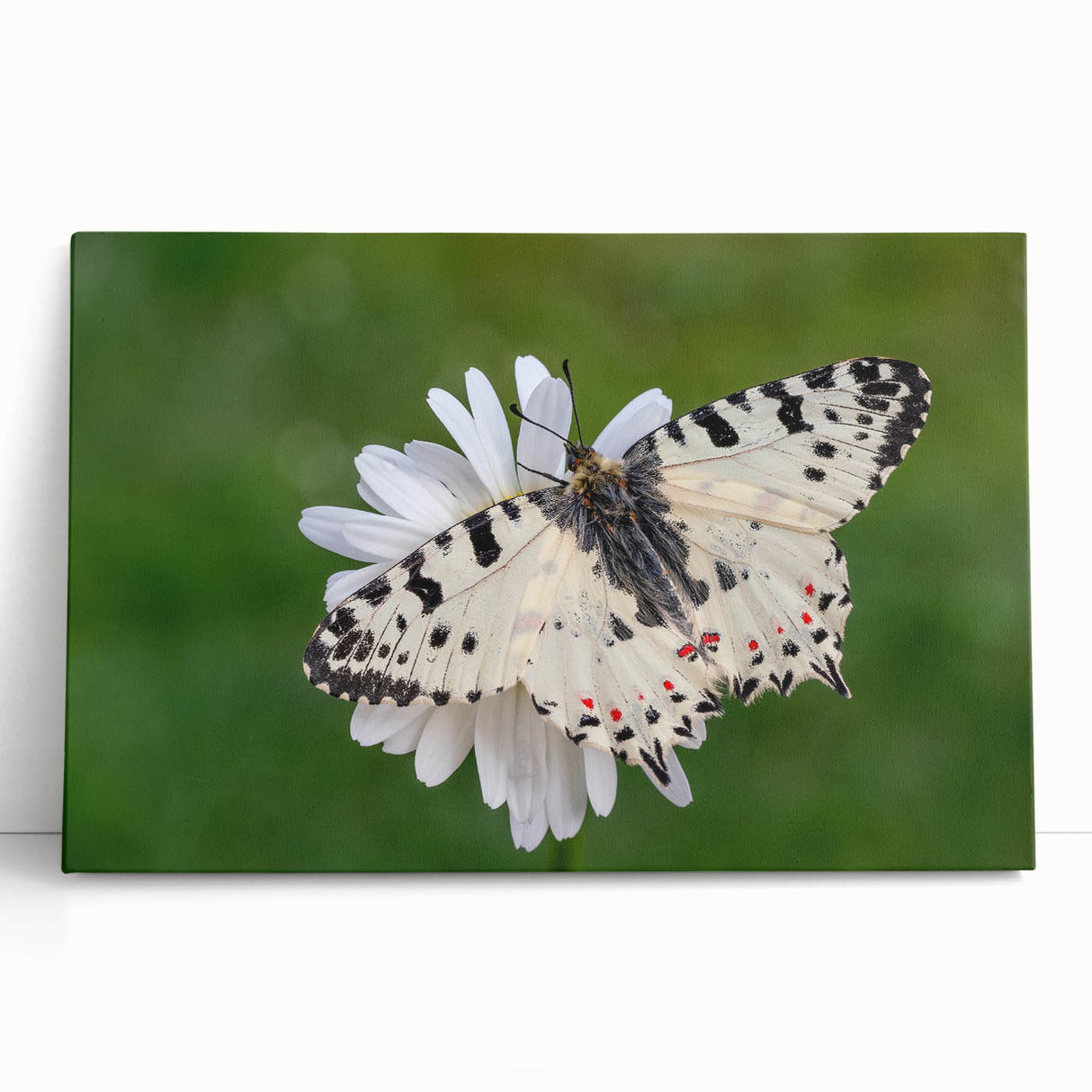 Black and white photo of a scenic European village on large stretched canvas, ideal for kitchen wall art.