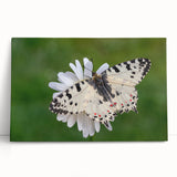 Black and white photo of a scenic European village on large stretched canvas, ideal for kitchen wall art.