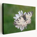 Large art print of a European Greek landscape on stretched canvas, featuring muted earth tones, ideal for kitchen wall decor.