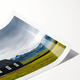 Extra large wall art featuring line art flowers in muted green and white tones on a rolled print.