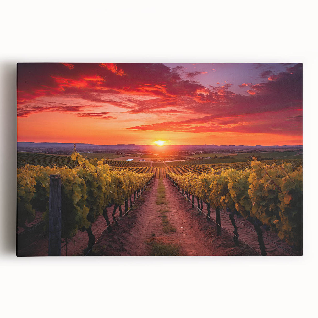 Black and white stretched canvas of Tuscany landscape, ideal for kitchen wall art or bedroom ambiance.