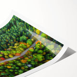 Extra large wall art featuring line art flowers in muted earth tones on a rolled canvas, ideal for large living room decor.