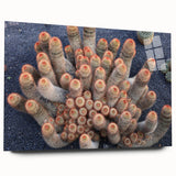 Large abstract wall art of a European scenery in vibrant hues on acrylic glass, ideal for bedroom or dining room decor.