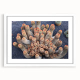 Textured abstract art print of a European scenery in muted earth tones, framed with a white mat, suitable for bedroom decor.