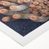 Art deco poster featuring a vibrant, stylized illustration of the Canary Islands on a rolled canvas.