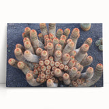 Black and white large art canvas of a European street scene, suitable for kitchen wall art.