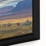 Extra large framed canvas of a textured, colorful European scenery in predominantly black tones.