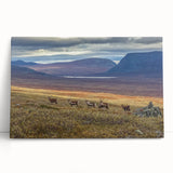 Black and white photograph of a European cityscape on stretched canvas, ideal for kitchen wall art.