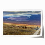 Extra large rolled print of a serene Swedish landscape with lush greenery and floral elements.