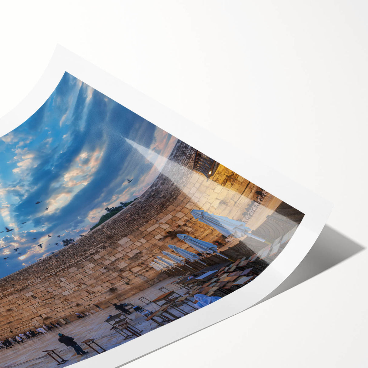 Extra large rolled print featuring line art flowers and Jerusalem scenery in muted earth tones.