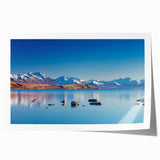 Extra large rolled print of Canterbury, New Zealand scenery with vibrant green fields and muted sky.