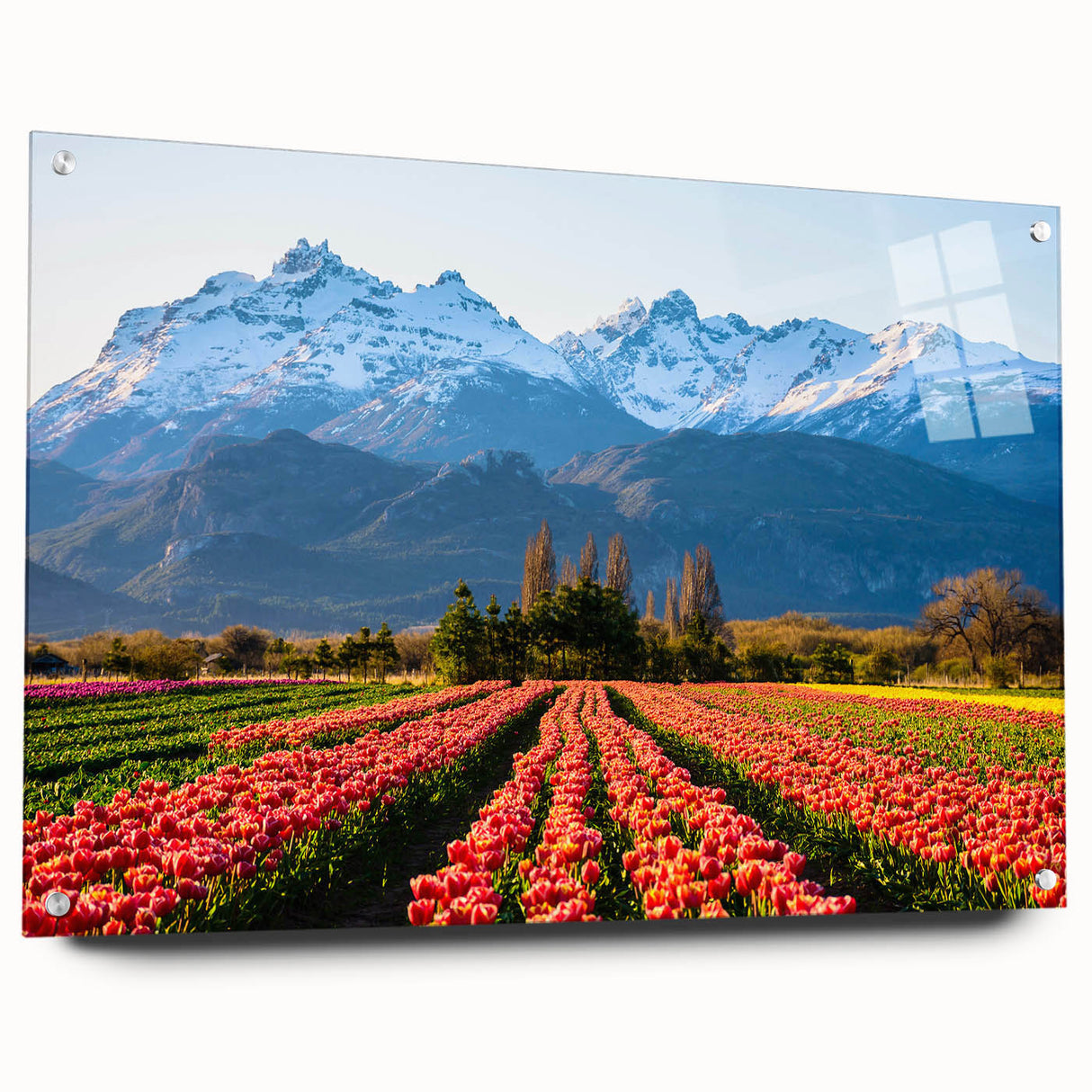 Large abstract wall art featuring a vibrant depiction of the South American scenery, on acrylic glass.