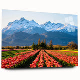 Large abstract acrylic print featuring a vibrant Argentinian landscape, suitable for bedroom or dining room art.