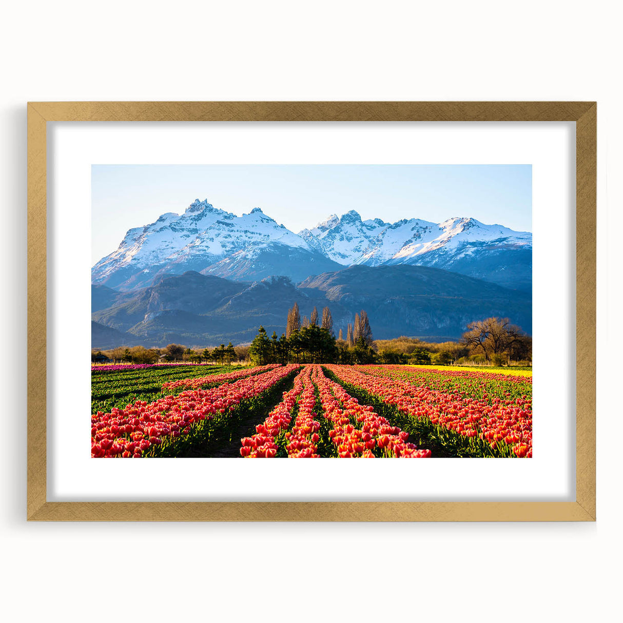 Abstract art print depicting textured scenery of Argentina in muted earth tones, framed in gold, ideal for living room decor.