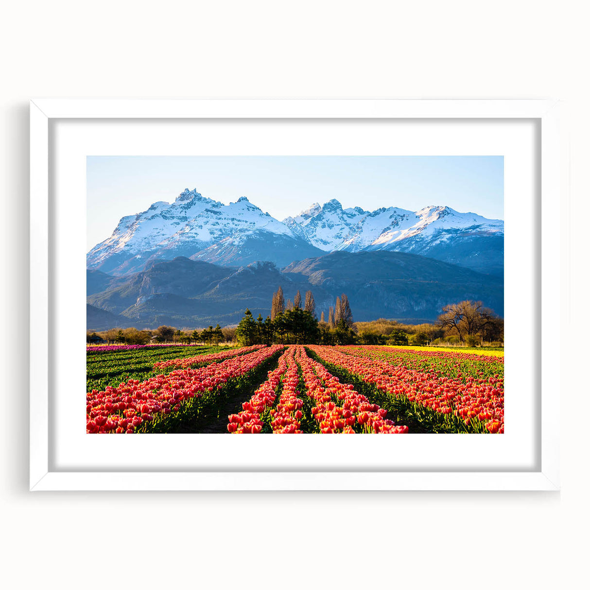 Abstract art print of an Argentinian landscape in muted earth tones on a framed white mat, suitable for dining room decor.