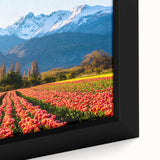 Extra large framed canvas featuring a black textured background with vibrant, colorful abstract scenery of Argentina.