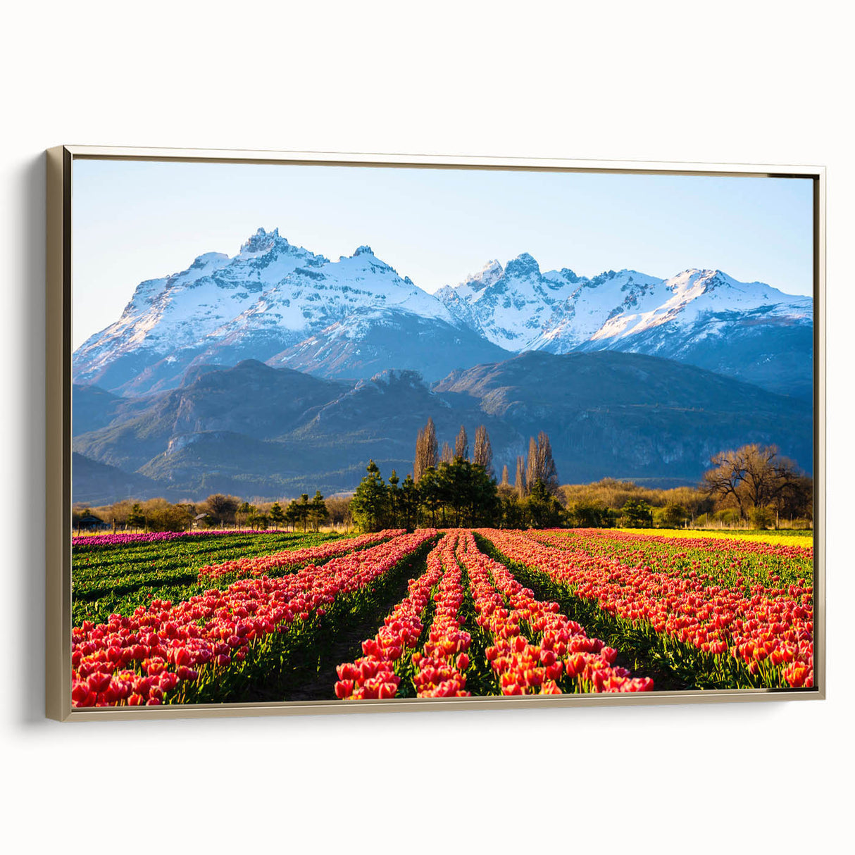Framed canvas landscape painting of a South American scenery in vintage poster style, featuring muted earth tones.