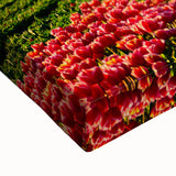 Large art featuring a black and white landscape painting of an Argentinian scenery on stretched canvas.