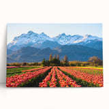 Black and white stretched canvas of an Argentine landscape, ideal for kitchen wall art or bedroom decor.