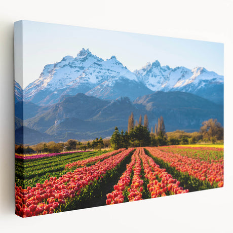 Large canvas print of an Argentine landscape in earthy tones, ideal for kitchen wall art.