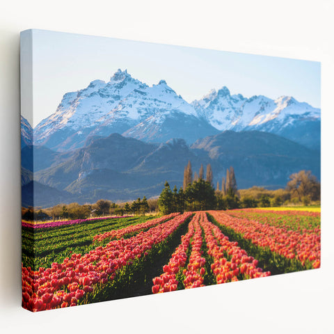 Large canvas print of an Argentine landscape in earthy tones, ideal for kitchen wall art.