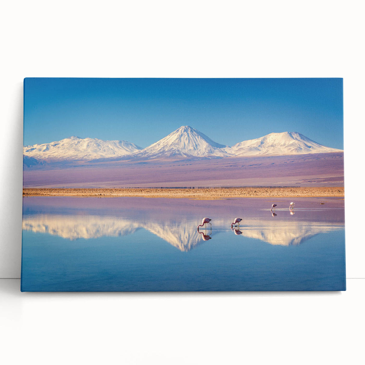 Black and white stretched canvas featuring a panoramic view of Chilean landscape, ideal for kitchen wall art.